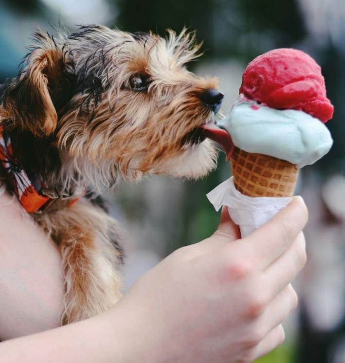 The-Superb-and-Fascinating-History-of-Waffle-Cones-in-the-US