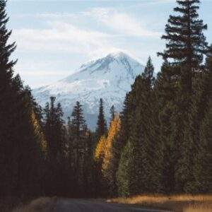 Portland